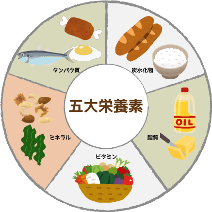 五大栄養素