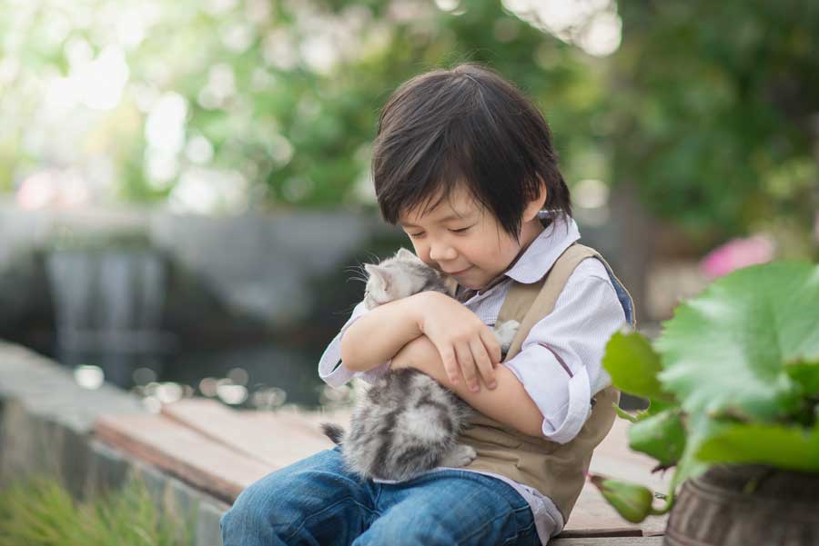 ワンちゃん猫ちゃんの毛で何がわかるのか？
