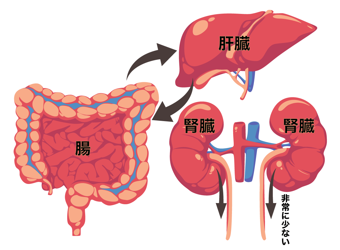 PFASの半減期